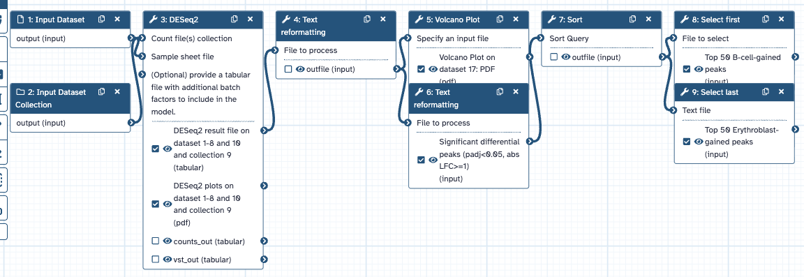 Extracted nine-step differential ATAC-seq workflow